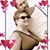 Rick Halcrow's profile image