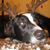 Deb Kizer's profile image