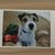 Kimberly Hutchins's profile image