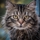 Alice W.'s profile image