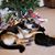 Cindy Stroud's profile image