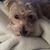 Glenice Justice's profile image