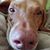 Nancy Wietecha Akers's profile image