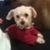 Theresa Pirone-Jones's profile image