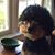Teri Skramstad-Story's profile image