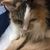 Shelly Alexander's profile image