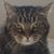 Gary Tsang's profile image