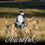 Dennie Holmbeck's profile image