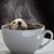 Angie Ward Potter's profile image