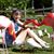 Sheri Ketner's profile image