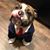 Cortney Silvers's profile image