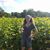 Lisa Miller Kawalek's profile image
