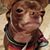 Paula Stephens's profile image