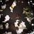 Therese Rowland's profile image