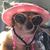 Judy Helton Jennings's profile image
