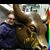 Evelyn Titi Cool's profile image