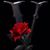 Michele Vaughn's profile image