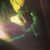 Eli Bickerton's profile image