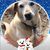 Mary Knipfing Rinke's profile image