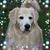 Kim Linert Snowden's profile image