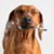 Nick Crist's profile image