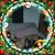 Sharon Kruh's profile image