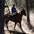 Randy Sperle's profile image