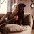 Kelly Stimson Johnson's profile image