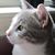 Carol J Painter's profile image