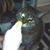 Godiva Smith's profile image