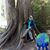 Sharlene Inglis's profile image