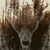 Michael Honeybear Cotton's profile image