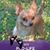 Elizabeth Sisk Deaton's profile image