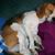 Dottie Massie-Pakulski's profile image