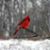 Sara Betker's profile image