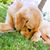Carrie Anne Hammett's profile image