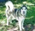 Christine S.'s profile image