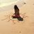 Tonya Thompson's profile image