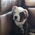 Timothy Hemcher's profile image