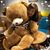 Jackielyn Hazel Yu's profile image