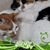 Mary Houtman Riggs's profile image