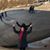 Gayle Schoeneberg Lackey's profile image