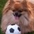 Jamie LeSage's profile image