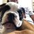 Cheryl Frederickson's profile image