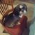 Charlotte Traverse's profile image