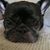 Deanna Slaman Rose's profile image