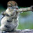 Killer Squirrel's profile image