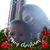 Robin Blackie's profile image