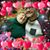 Matthew Mooney-Bickel's profile image