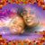 Sheila Walker's profile image